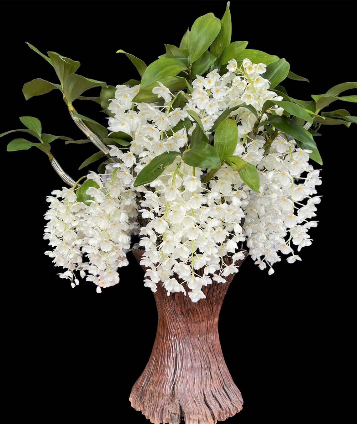 Một tác phẩm hoa lan rừng độc đáo có giá tiền triệu phục vụ người dân mua chưng Tết. Ảnh: Phúc Khánh 