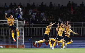 V.League 2025-2026 Round 13 Standings: Thanh Hoa, Song Lam Nghe An Rise Up