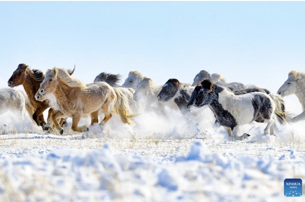 It is predicted that people born in the Year of the Horse will have a favorable year to regenerate themselves and pursue independence, although this may come with certain prices. Photo: Xinhua