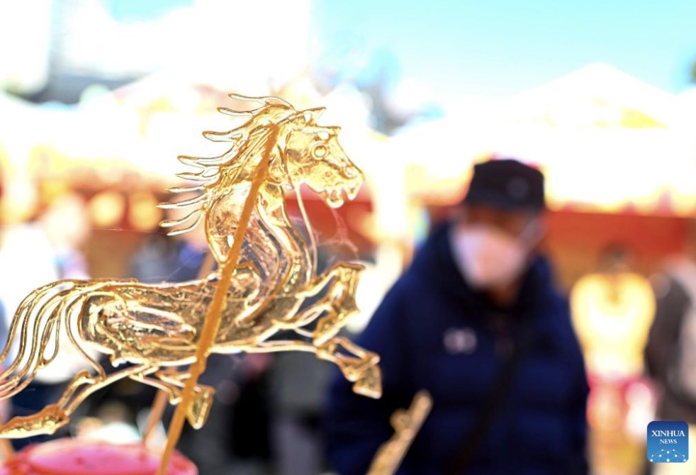 Dự báo Bính Ngọ 2026 là năm nổi bật về sự nghiệp cho người tuổi Dậu. Ảnh: Xinhua