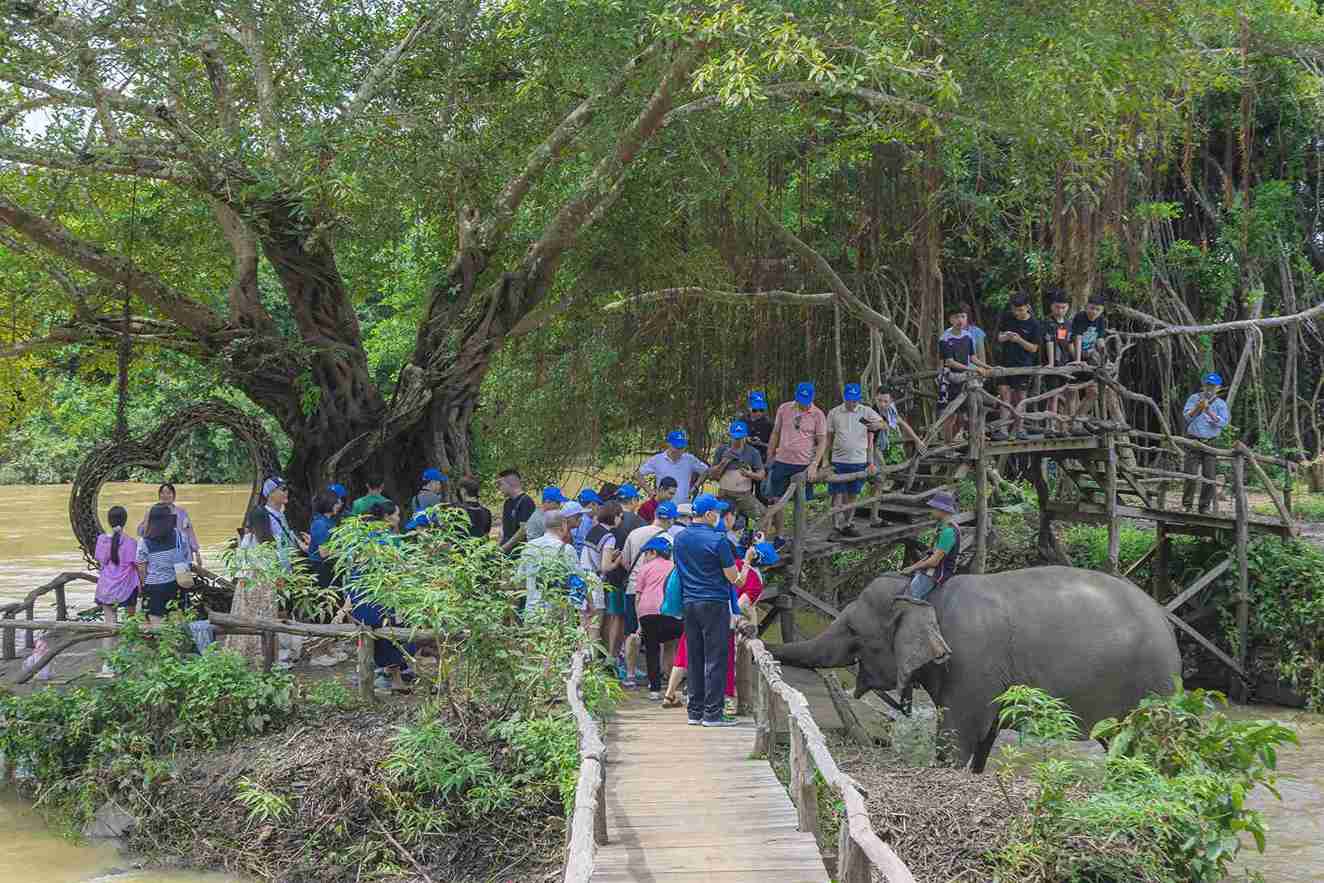 Du khách trải nghiệm dịch vụ thân thiện với voi. Ảnh: Nguyên Đức