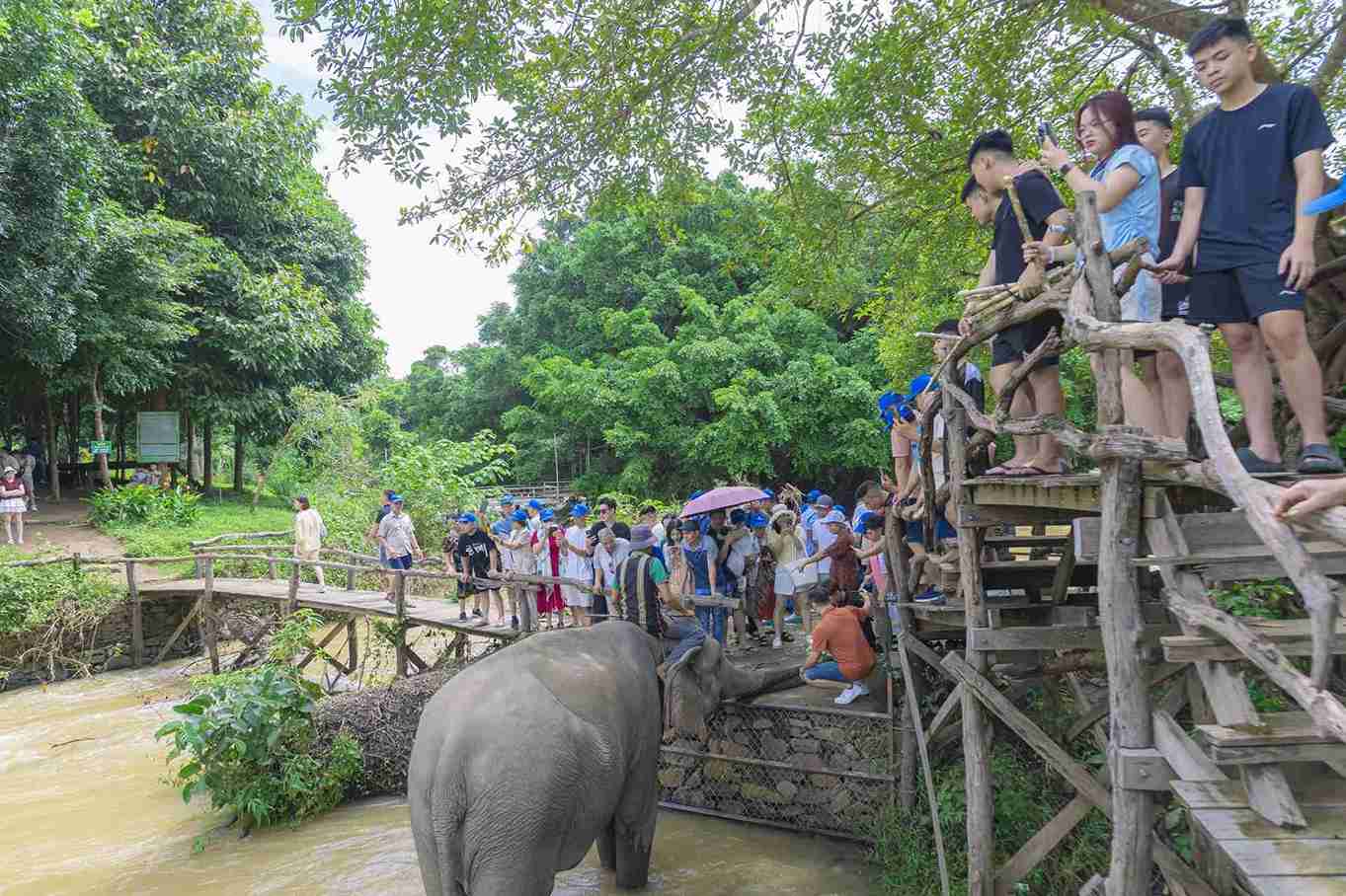 Dak Lak province is expected to welcome a large number of tourists during the 2026 Lunar New Year. Photo: Nguyen Duc