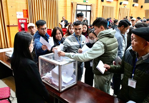 Tay Phuong land price won the auction up to more than 164 million VND/m2. Photo: Huu Dung