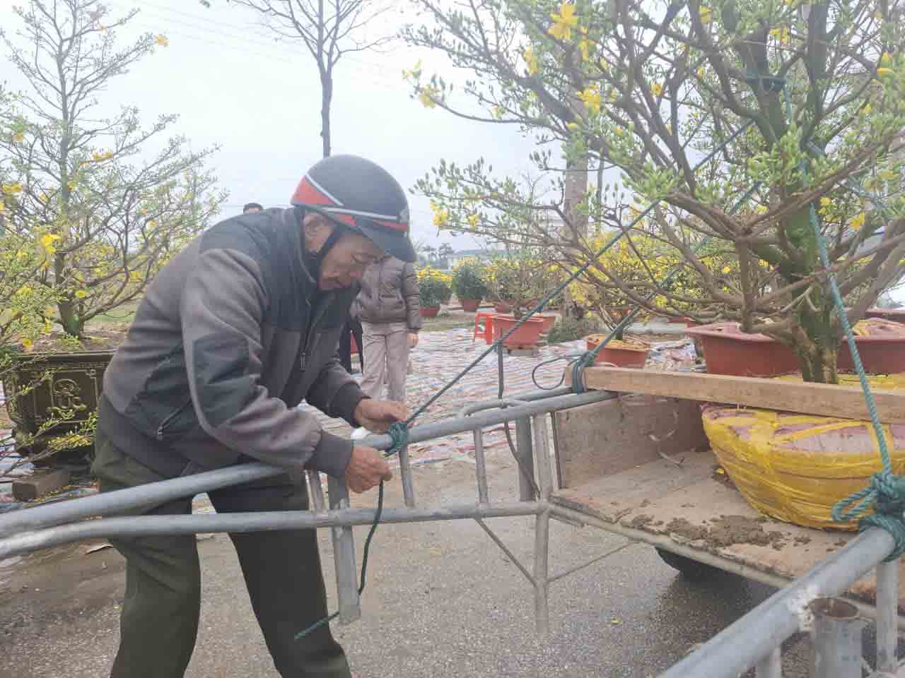 Mr. Hai participates in transporting ornamental flowers for rent during Tet. Photo: Tran Tuan