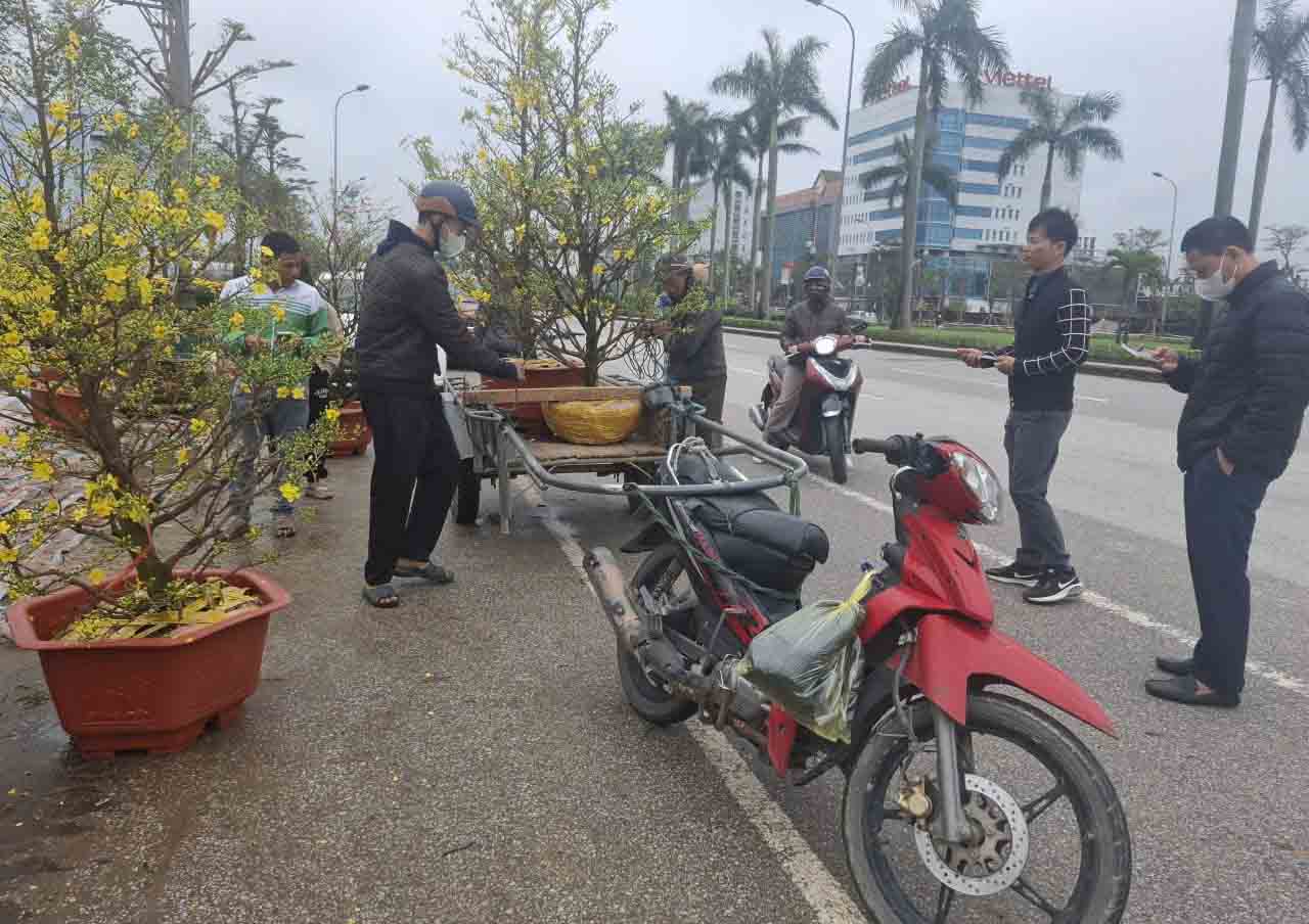 Dịch vụ chở thuê đào, mai dịp Tết cho thu nhập khá tốt. Ảnh: Trần Tuấn.