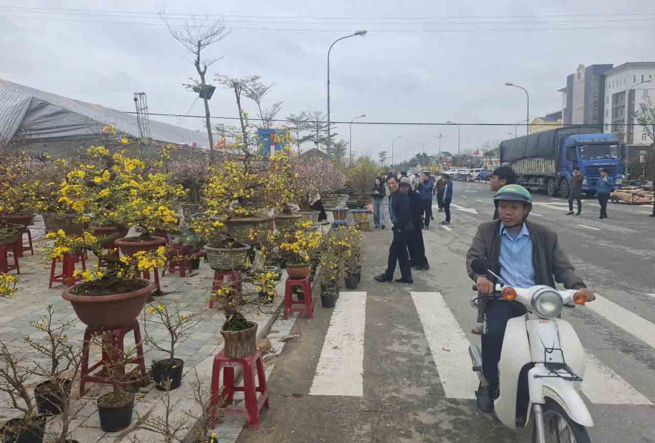 Phố hoa dần sôi động khi Tết đã cận kề. Ảnh: Trần Tuấn.