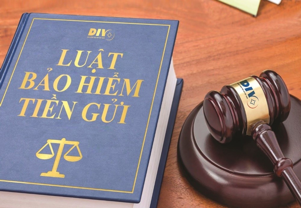 Insurance participating organizations are entitled to complain, denounce, and sue agencies, organizations, and individuals related to deposit insurance. Graphics: DIV