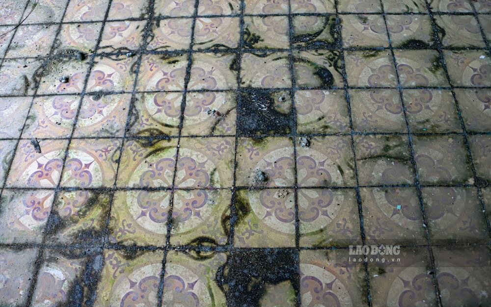 Sân nhà bị sình đen gần như toàn bộ.