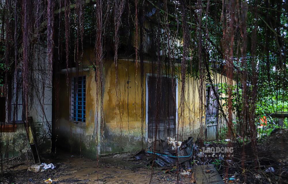 Trao đổi với PV Báo Lao Động, bà Võ Thị Anh Thư – Chủ tịch UBND phường Vỹ Dạ cho biết, sau khi thực hiện mô hình chính quyền địa phương hai cấp, khu trụ sở này được giao cho phường quản lý. Hiện địa phương đang chuẩn bị chỉnh trang và giao cho Trung tâm dịch vụ sự nghiệp công quản lý. 