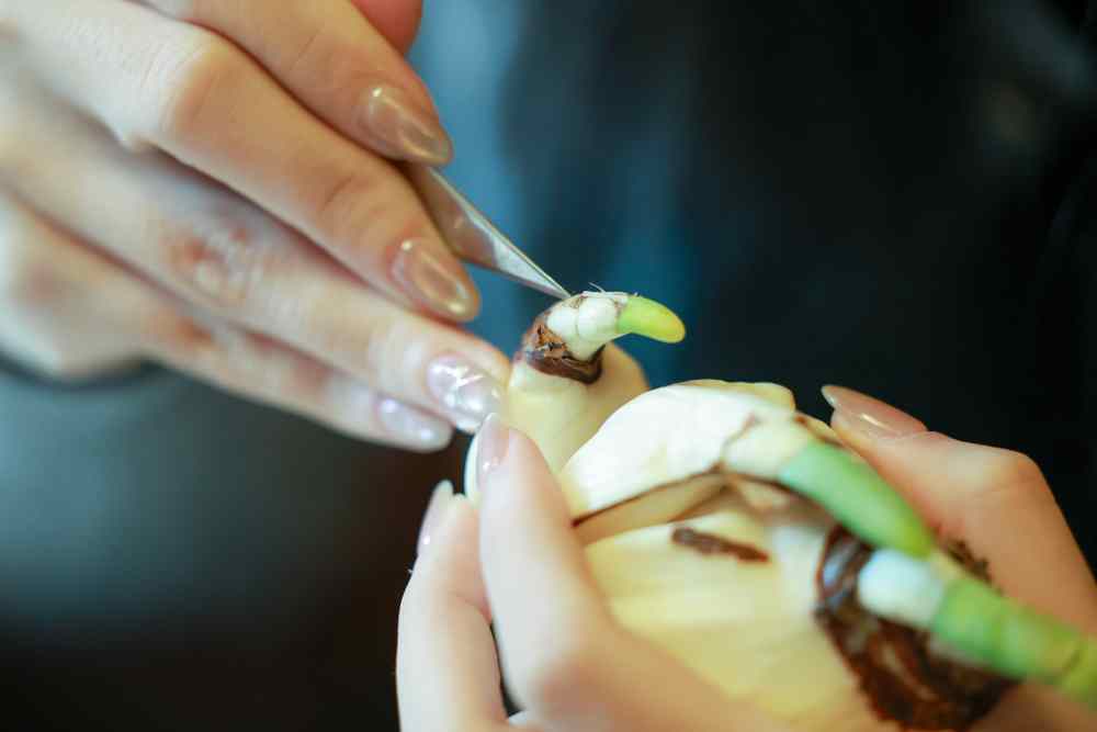 Việc gọt tỉa phải được thực hiện công phu, tỉ mỉ từng chi tiết. Ảnh: Hải Nguyễn