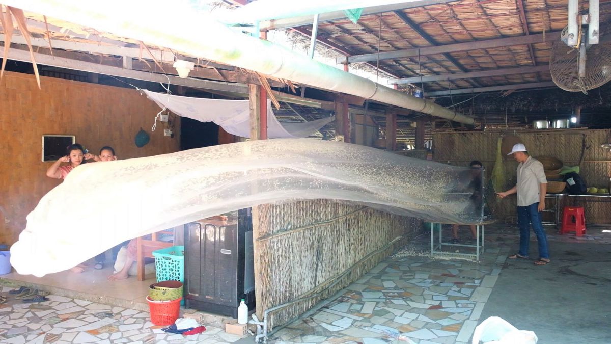 Watch West Vietnamese cracklings on Tet