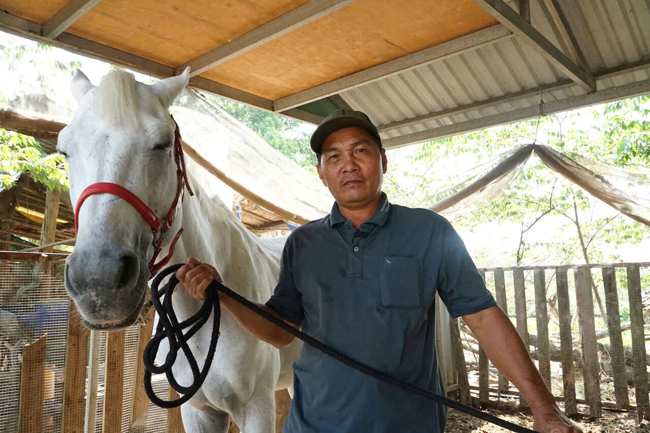 Xuan Binh Ngo listens to stories of racehorses changing their lives in Ho Chi Minh City