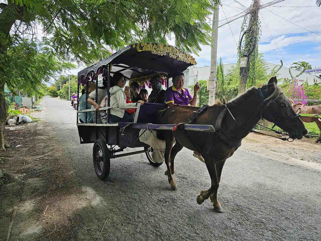 Du khách trải nghiệm xe ngựa tham quan Cồn Thới Sơn. Ảnh: Thành Nhân