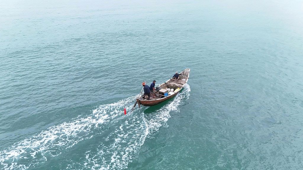 Ngư dân xã Mỏ Cày ra khơi cào ốc gạo. Ảnh: Viên Nguyễn