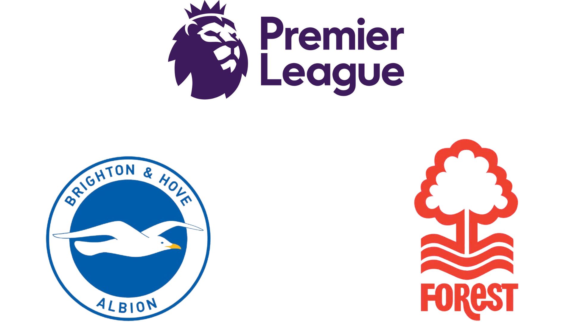 Brighton vs Nottingham Forest football prediction in the Premier League. Graphics: Dieu Anh