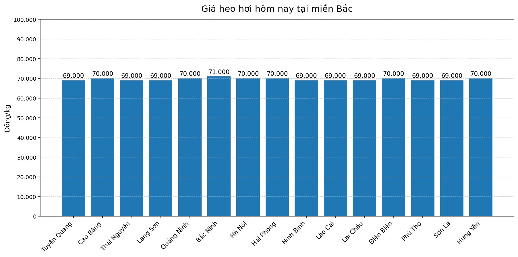 Giá heo hơi hôm nay 1.3 tại khu vực miền Bắc. Đồ họa: Thùy Linh