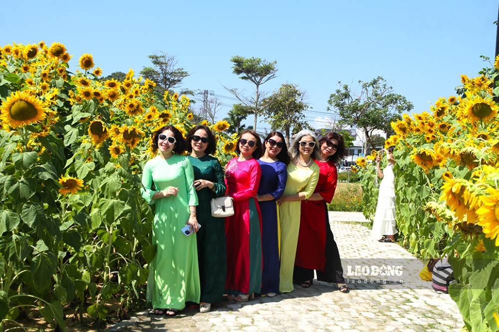 People and tourists wearing ao dai check-in at the Spring flower garden in Da Nang. Photo: Thanh Huyen