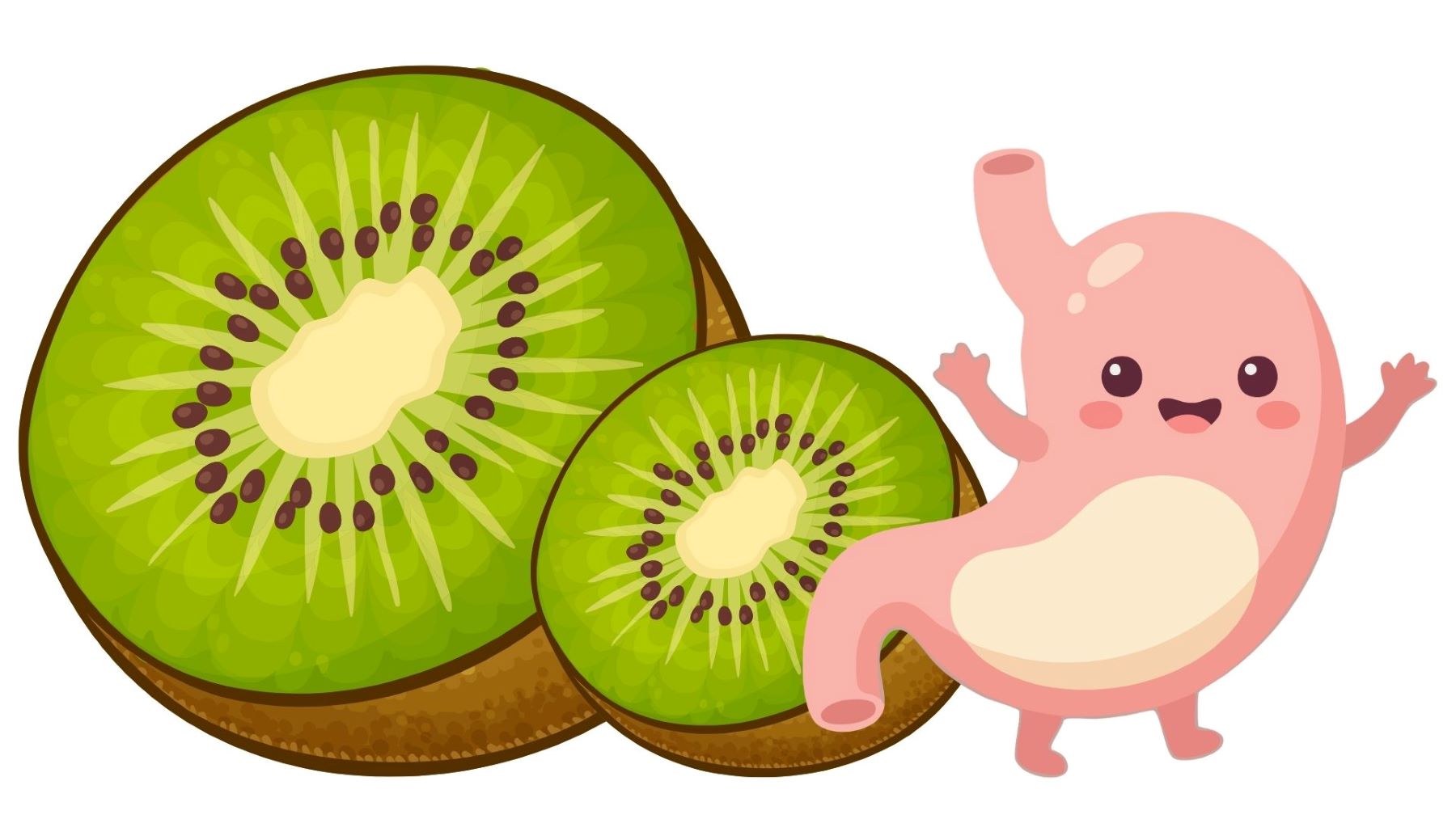 Kiwi is a fruit good for digestion. Graphics: Thanh Thanh