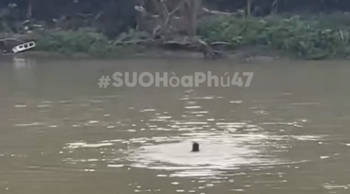 Functional forces of Dak Lak province search for a young man who jumped off a bridge to commit suicide in the area. Photo: People provided