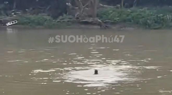Tìm kiếm thanh niên bỏ xe máy trên cầu rồi nhảy xuống sông mất tích