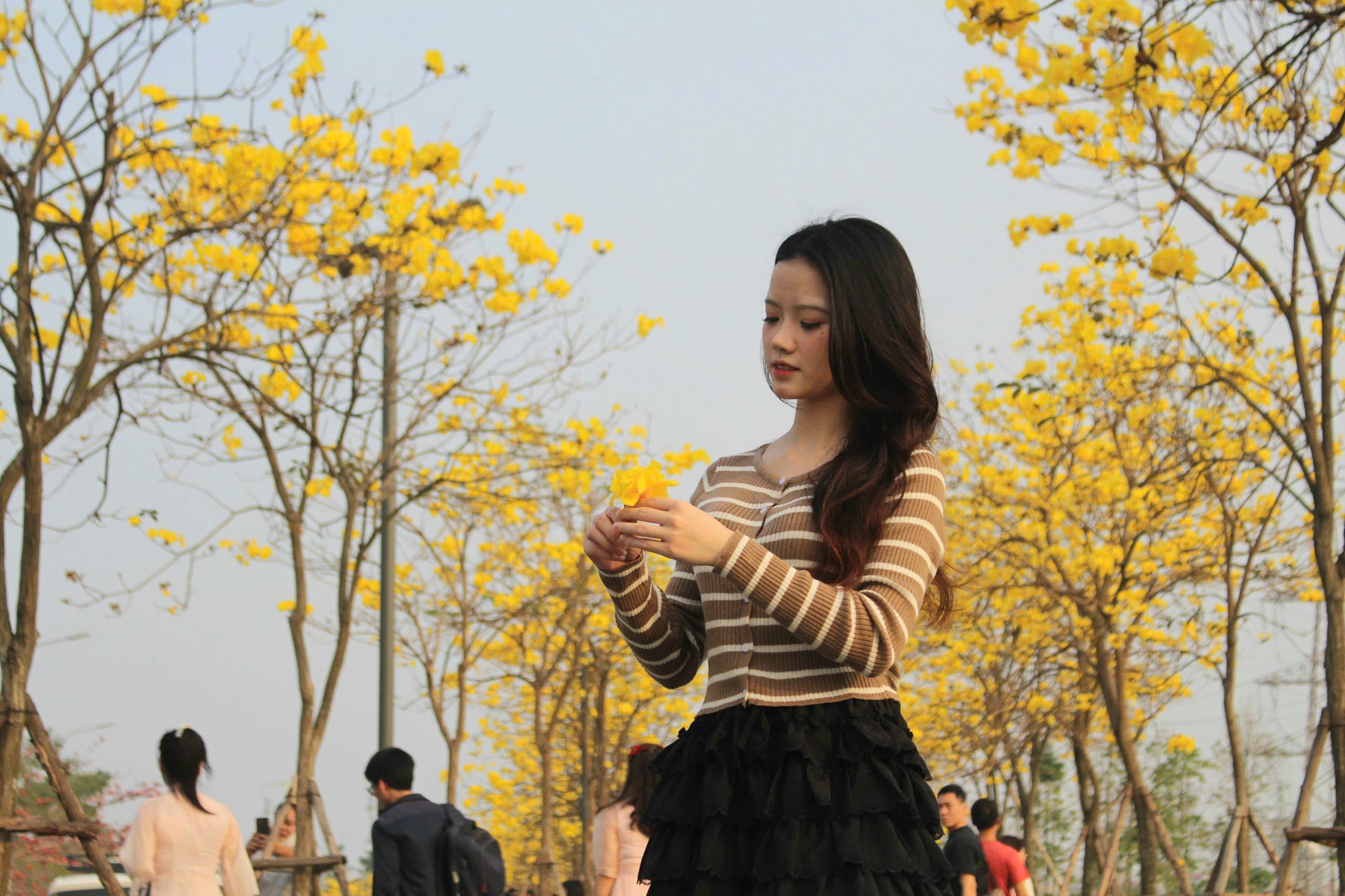 Cong đường hoa phong linh thu hút người dân đủ mọi độ tuổi tới chụp ảnh, ghi lại những bức hình kỉ niệm với mùa hoa ấn tượng đầu xuân.