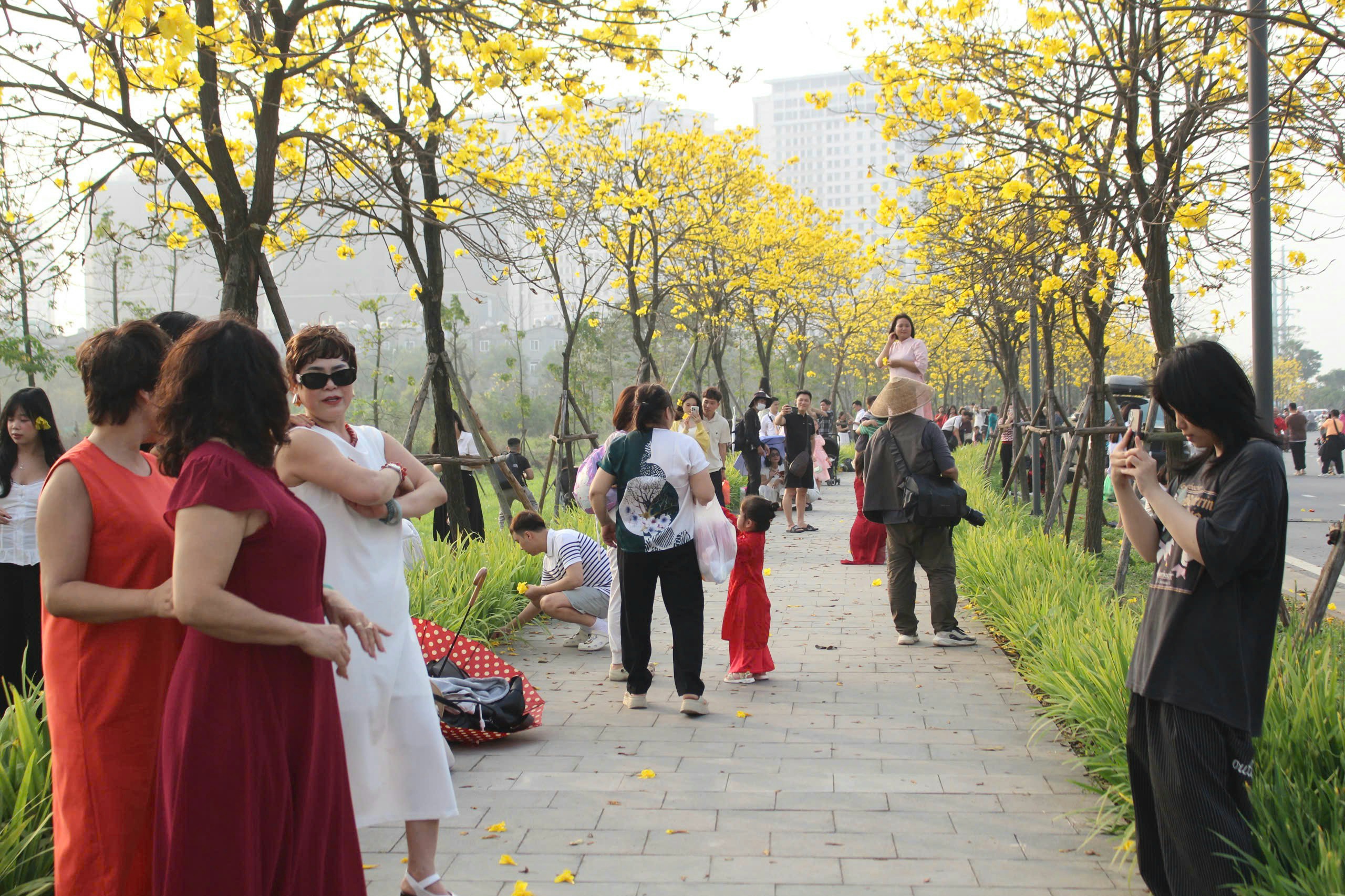 Thời điểm chụp ảnh phù hợp với con đường hoa phong linh là từ 7 - 9 giờ sáng, hoặc 15 - 17 giờ chiều. Người dân và du khách có thể lựa chọn áo dài hoặc những bộ trang phục màu sắc rực rỡ để có những bức ảnh đẹp nhất với hoa phong linh và hoa gạo. 