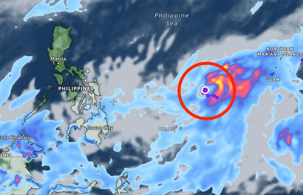 Tropical depression near the East Sea causes widespread rain. Photo: DWD