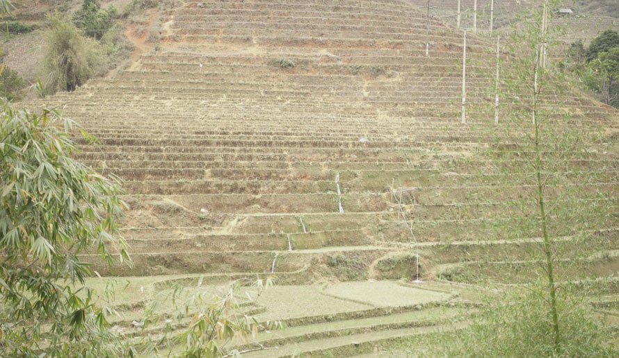 Với địa hình dốc và phân tán, mỗi công trình thủy lợi nhỏ đều đóng vai trò quan trọng trong việc đảm bảo nước tưới cho ruộng bậc thang.
