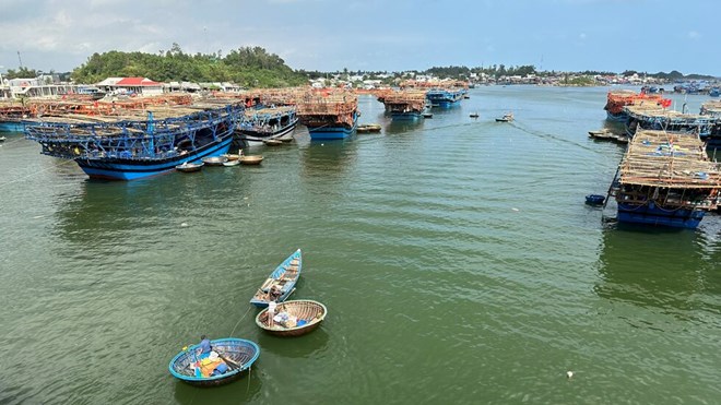 The squid jigging profession is a traditional profession of fishermen in Binh Son commune, Quang Ngai province. The operating time at sea lasts from 2 to 3 months, so it is potentially risky. Photo: Dong Giang
