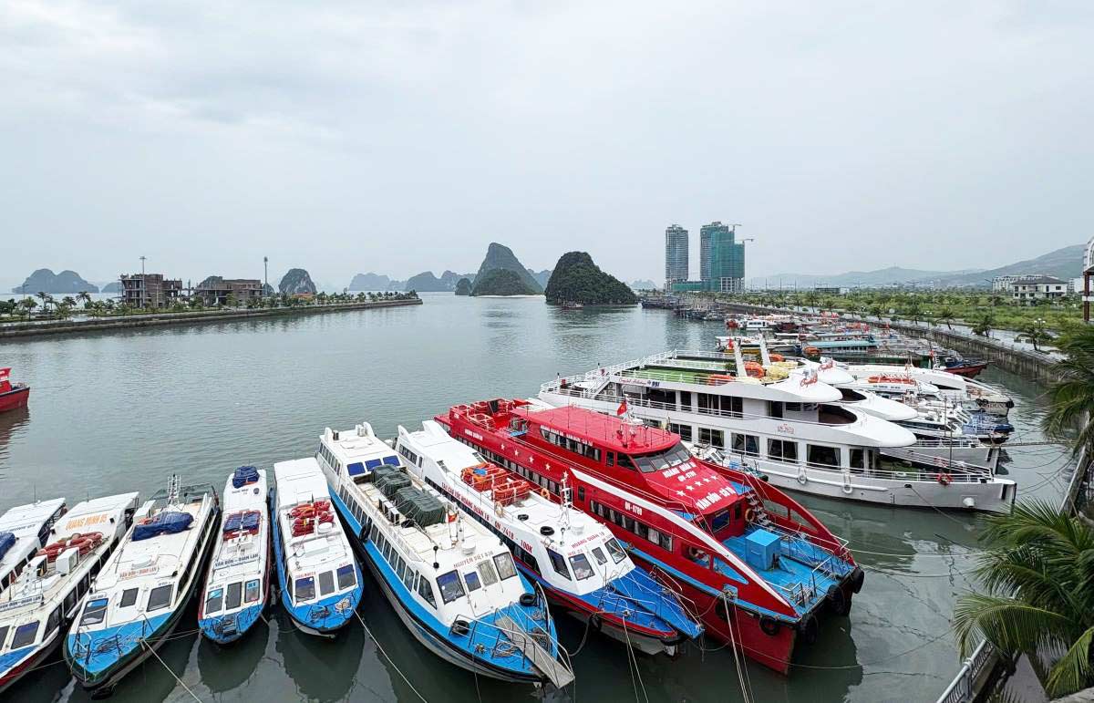 Los trenes de alta velocidad en el puerto de Ao Tiên, Zona Económica Especial de Vân Đồn, aumentan los precios de los billetes de 30.000 a 50.000 VND. Foto: Nguyễn Hùng