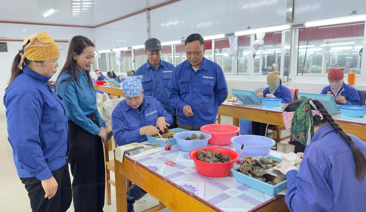 Van Don Special Zone Trade Union surveys the implementation of regimes and policies for female workers at Taiheiyo Shinju Vietnam Pearl Company. Photo: Doan Hung