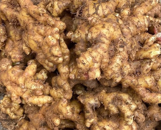 Ginger is a spice root that can support hair care. Photo: Kieu Vu