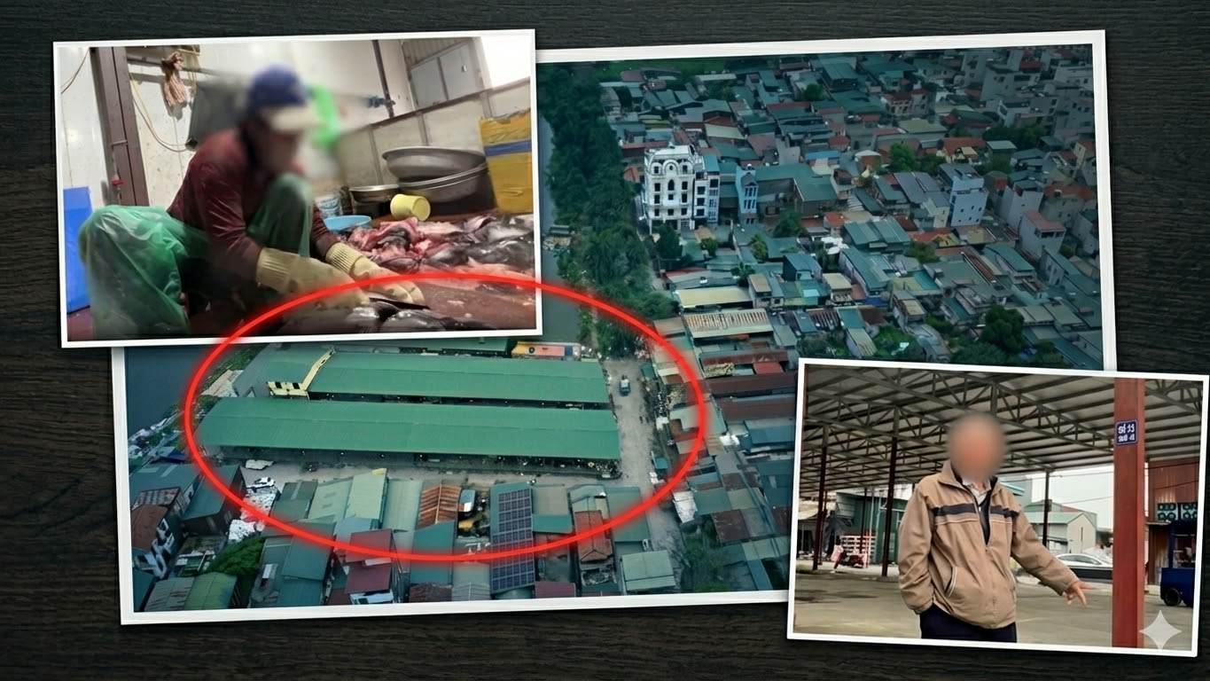 Khu đất trưng bày thủy sản bị "biến tướng" thành chợ cá trái phép ở Hà Nội. Ảnh: PV