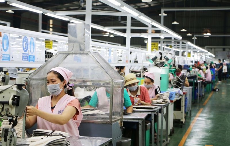 Solving the problem of labor shortage in companies in Tuyen Quang. Photo: Viet Bac