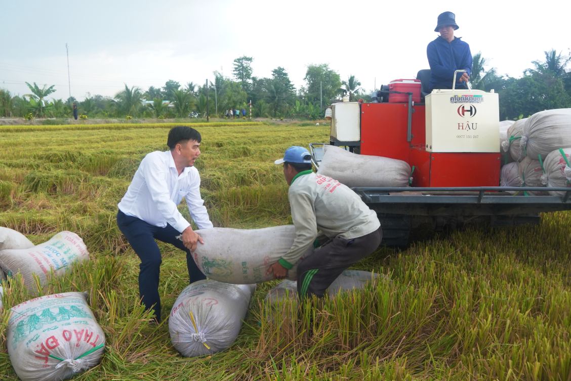 Chủ tịch UBND xã Cờ Đỏ khiêng thóc lên xe. Ảnh: Tạ Quang