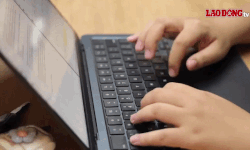 Tighten management of ".edu.vn" domain names, individuals are no longer allowed to register for use