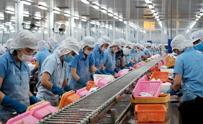 Nhu cầu tuyển dụng tại Cần Thơ trong tháng 2.2026 tập trung nhiều nhất ở nhóm nghề thợ chế biến thực phẩm, công việc đồ gỗ, may mặc. Ảnh: Mỹ Ly