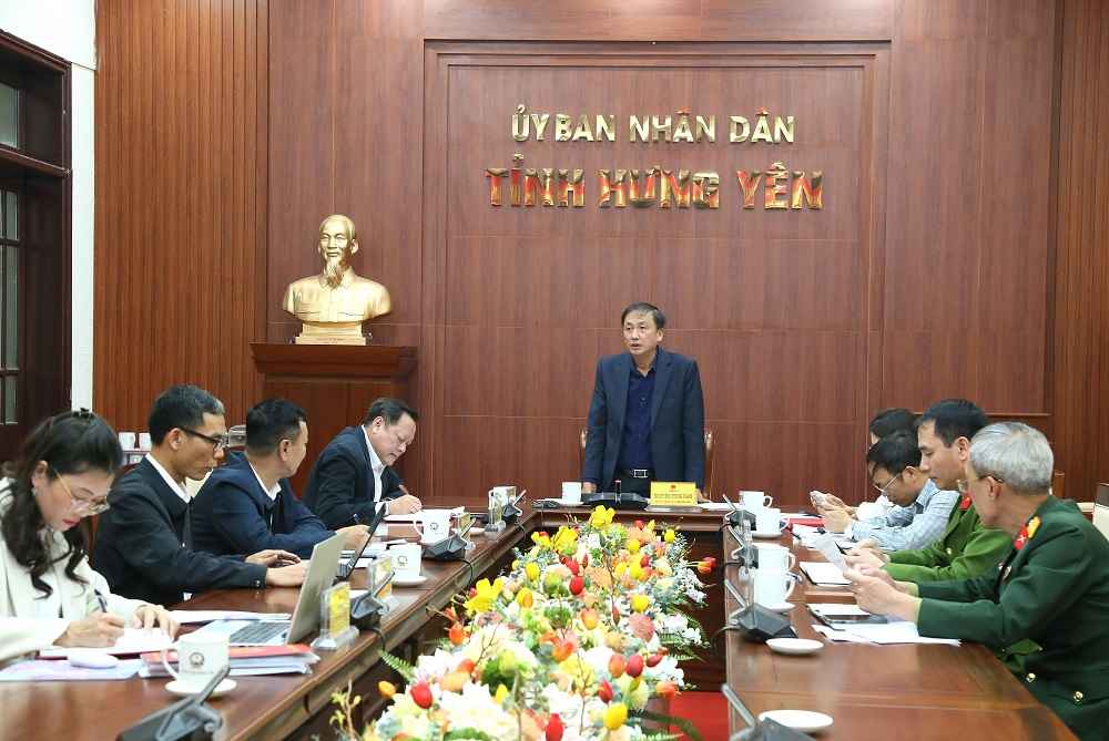 Phó Chủ tịch UBND tỉnh Nguyễn Hùng Nam phát biểu chỉ đạo tại cuộc họp.