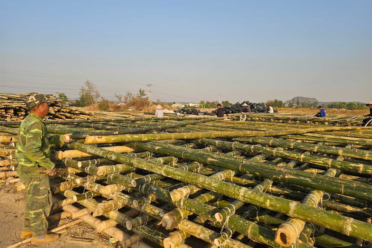 People in Ha An ward build rafts to raise oysters and oysters. Photo: Doan Hung
