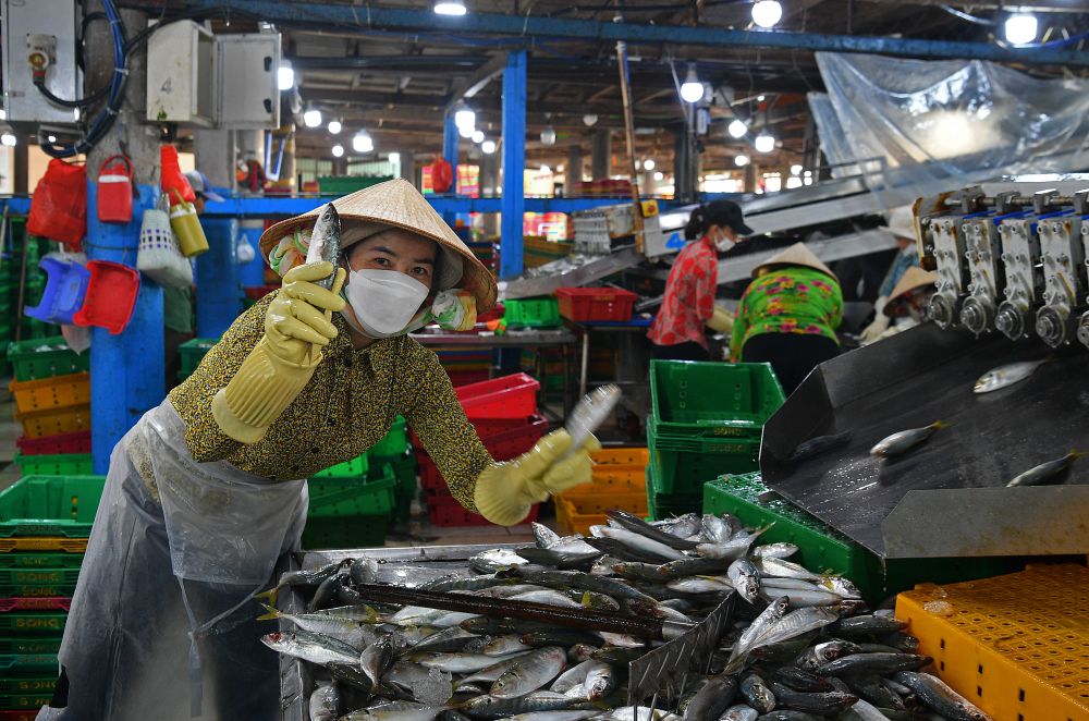 Nụ cười với cá. Ảnh: Việt Văn