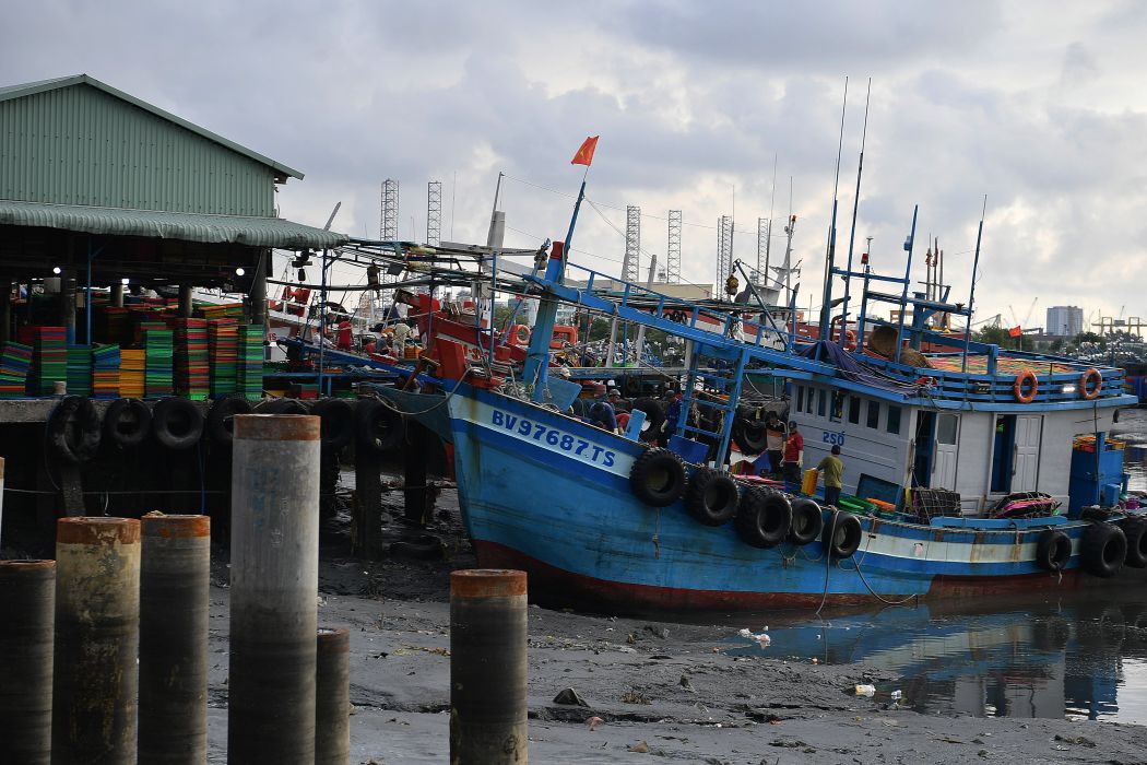 Fishing boats anchored at Ben Da Fishing Port after the fishing trip. From here, seafood is brought to the port for unloading, sorting and transferring to the preliminary processing area before being distributed to the market. Photo: Viet Van