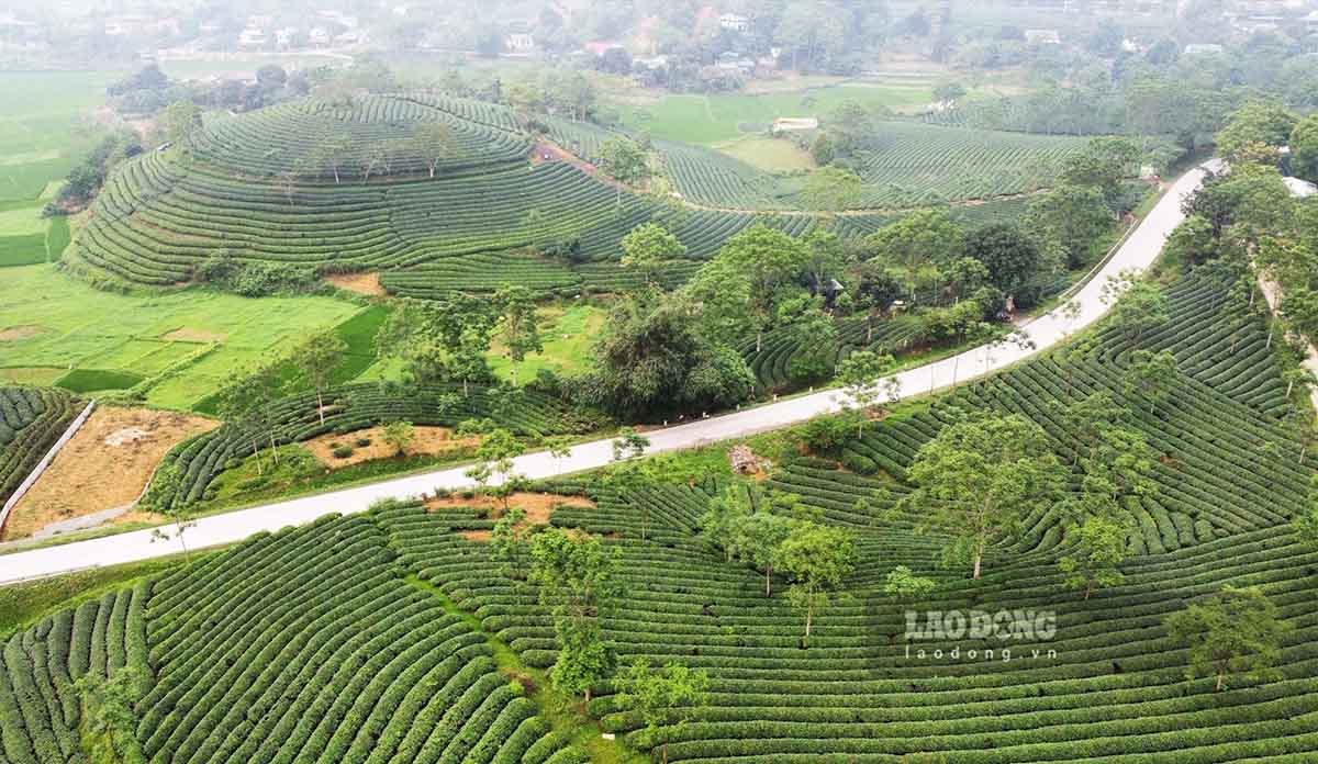 Người dân tỉnh Tuyên Quang kỳ vọng có nhiều những chính sách phát triển hạ tầng, kinh tế nông lâm nghiệp bền vững. Ảnh: Việt Bắc.