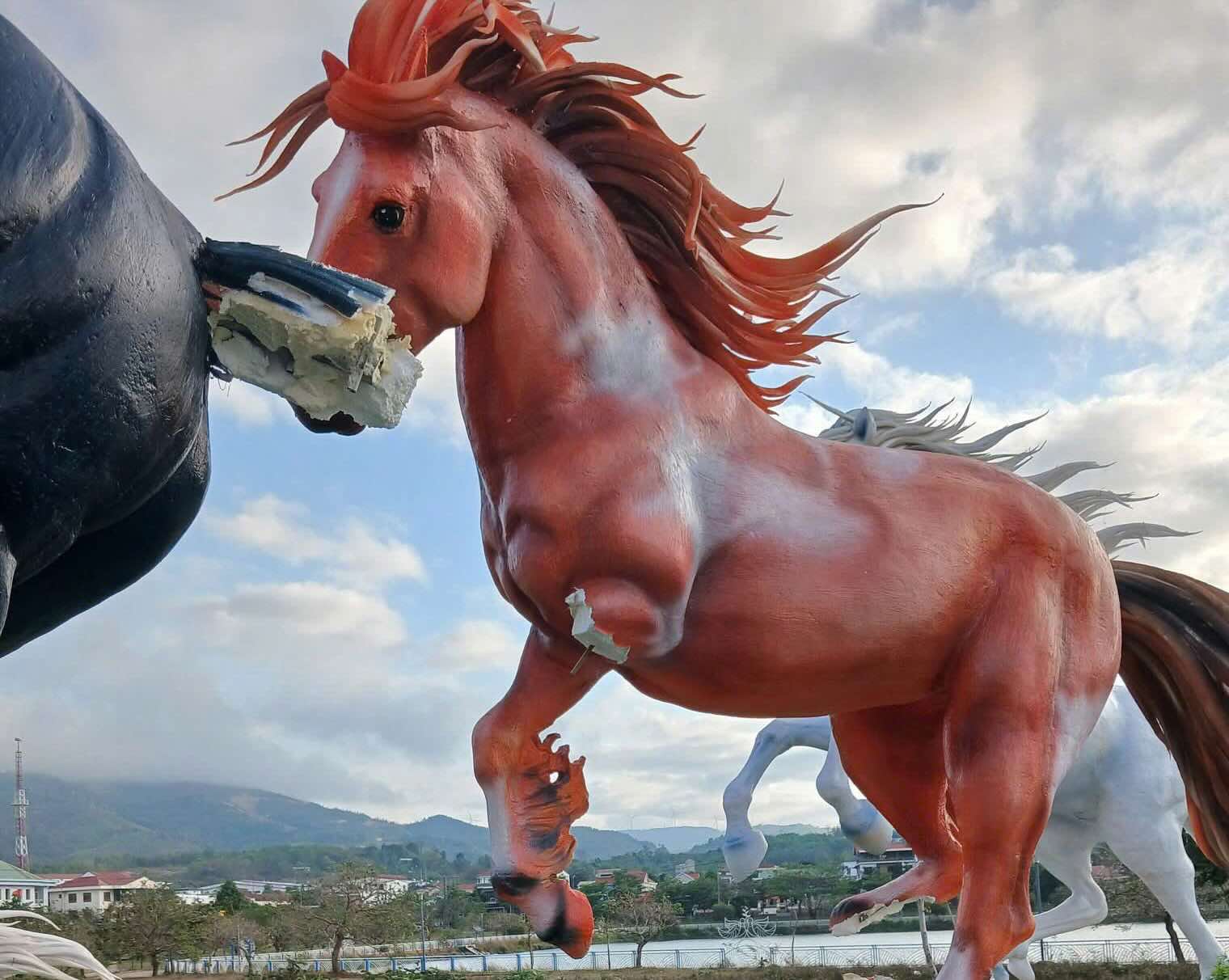 Một chú ngựa mất chân trái và một chú ngựa khác bị cụt đuôi. Ảnh: Hàn Nguyên