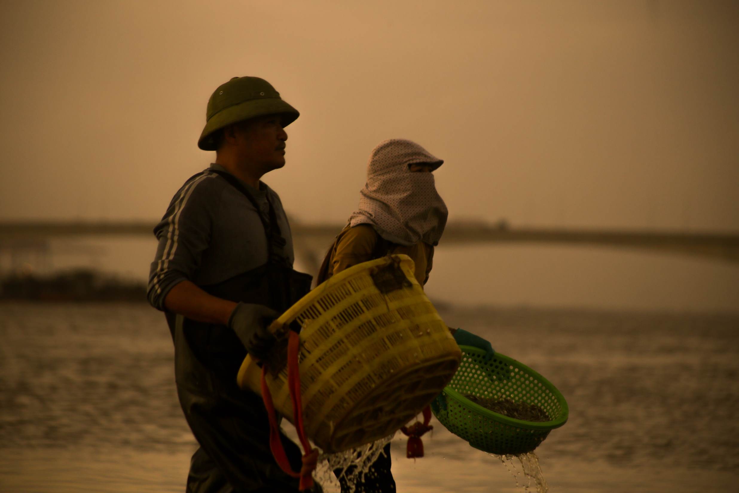 ชาวประมงกำลังยุ่งอยู่กับการขนถ่ายอาหารทะเลจากเรือขึ้นฝั่ง