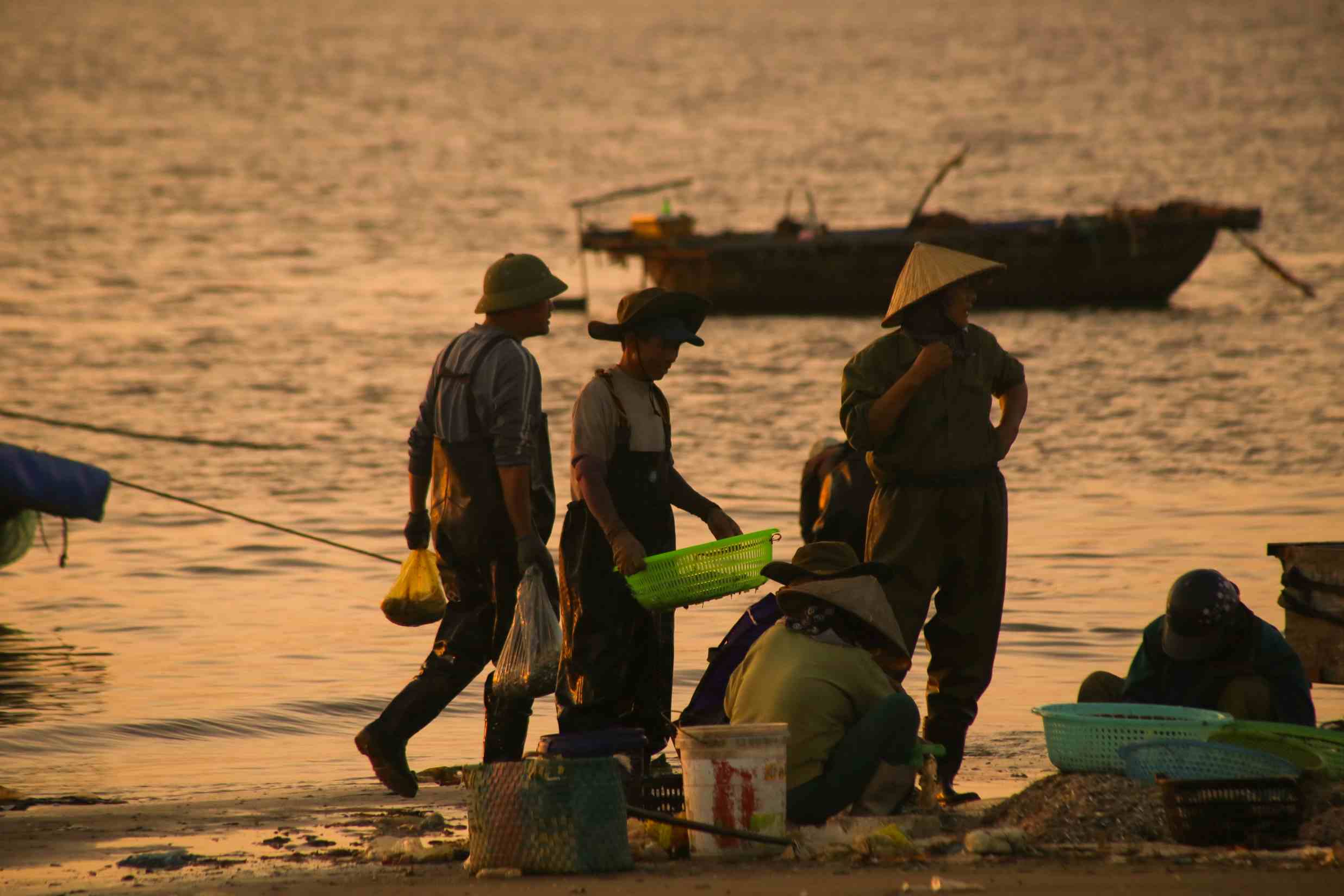 ที่ท่าเรือ มีผู้คนจำนวนมากรออยู่แล้วเพื่อช่วยขนย้ายอาหารทะเลที่เพิ่งถูกนำขึ้นฝั่ง