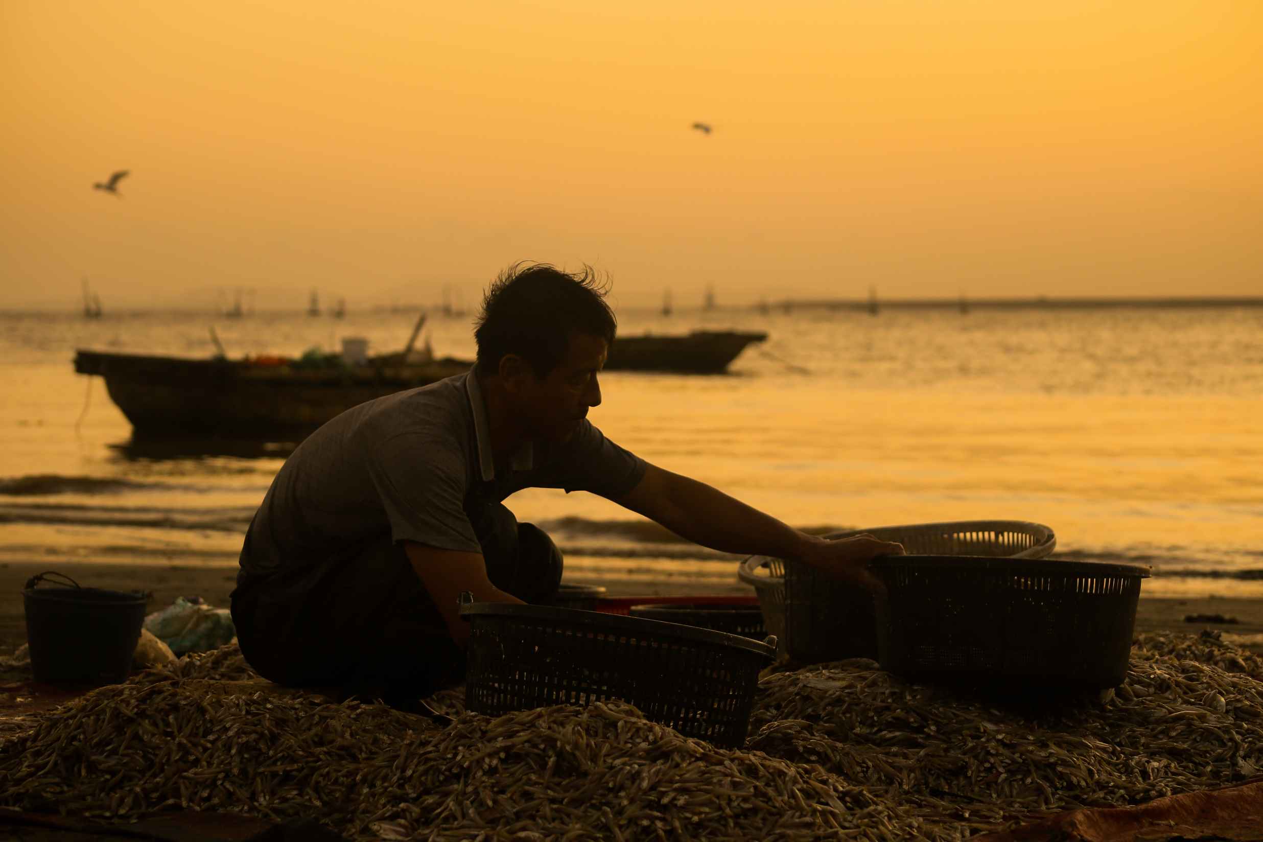 ชาวประมงคนหนึ่งในแคทไฮเล่าว่า “ทุกบ่ายทะเลจะสวยงามในแบบของตัวเอง หลังจากออกทะเลมาทั้งวัน เมื่อเรือกลับเข้าฝั่งและเราได้ชมพระอาทิตย์ค่อยๆ ตกดิน ทุกคนก็รู้สึกโล่งใจ สำหรับพวกเราชาวประมงแล้ว ช่วงเวลานั้นเป็นทั้งเวลาพักผ่อนหลังจากทำงานมาทั้งวัน และเป็นเวลาเตรียมตัวสำหรับการออกไปหาปลาในครั้งต่อไป”