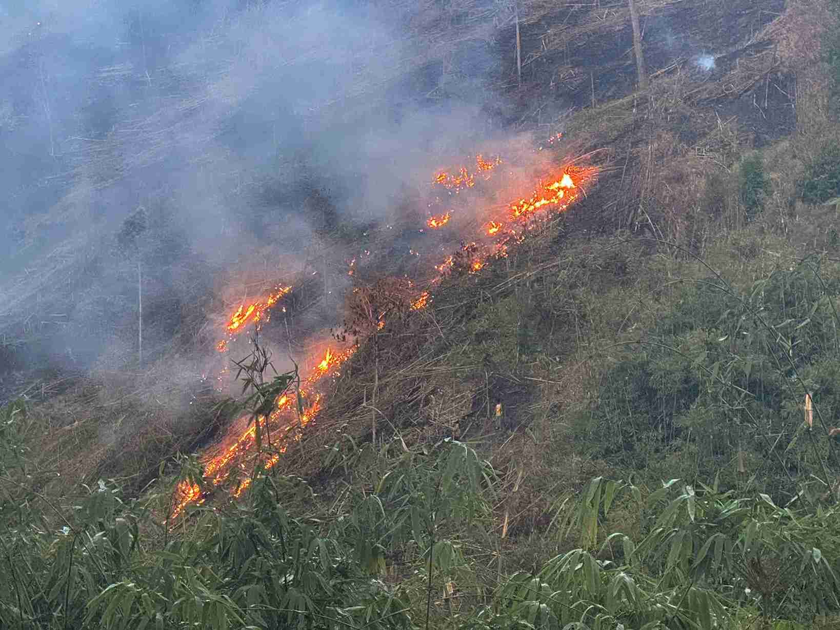 In the dry season, Dak Lak province always faces a high risk of forest fires (illustration photo taken in 2025). Photo: Bao Trung