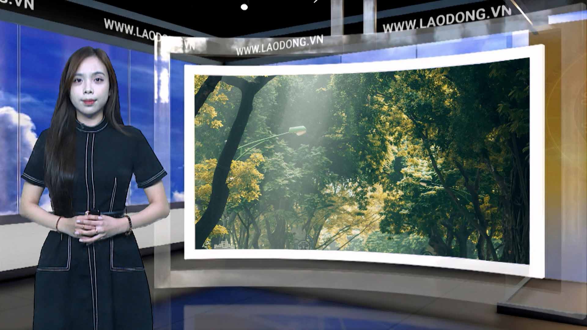 Weather forecast tonight and tomorrow 13. 3