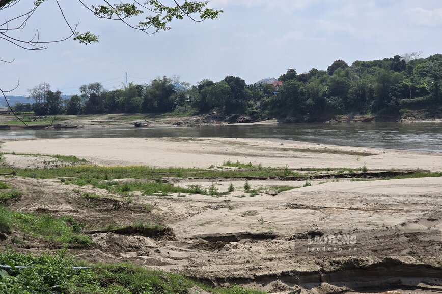 The Red River in this section has a narrow stream, at first glance it seems like walking through. Photo: To Cong
