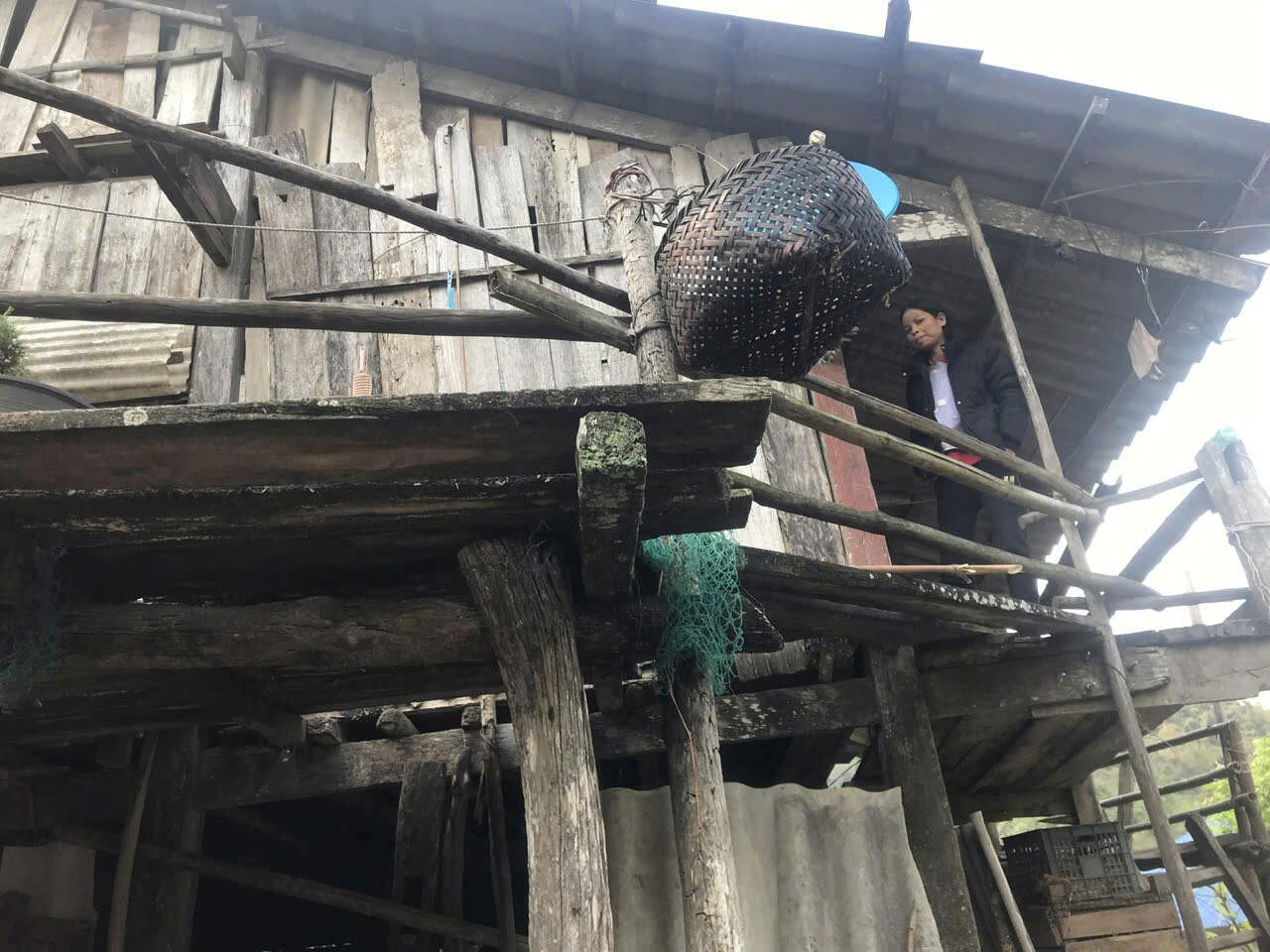 Căn nhà gỗ xuống cấp, liêu xiêu trên núi cao của gia đình chị Hằng. Ảnh: NVCC  